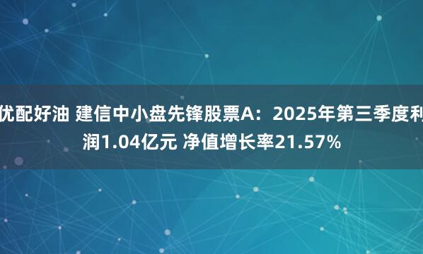优配好油 建信中小盘先锋股票A:2025年第三季度利润1.04亿元 净值增长率21.57%
