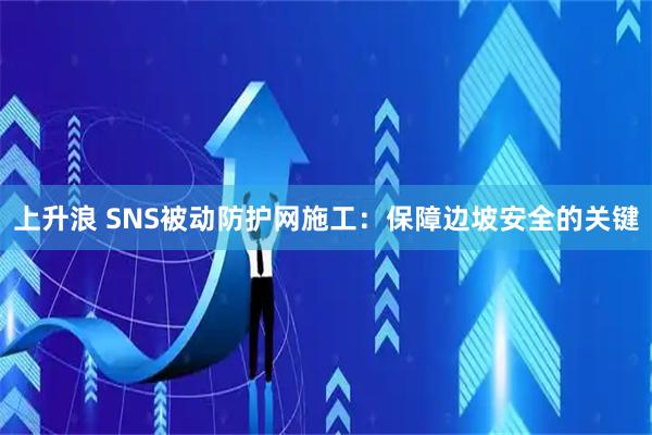 上升浪 SNS被动防护网施工：保障边坡安全的关键