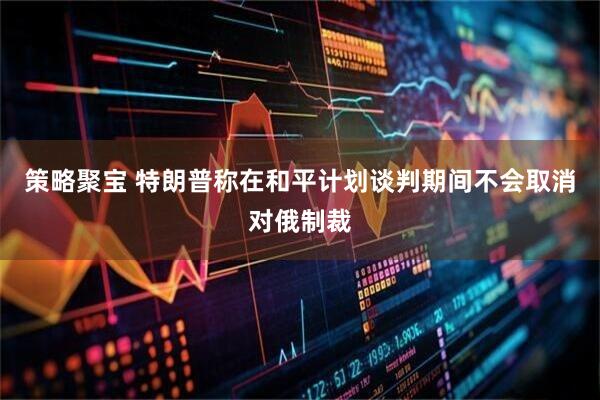策略聚宝 特朗普称在和平计划谈判期间不会取消对俄制裁